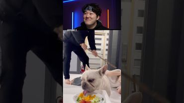 Try Not to Laugh Challenge 1499 🤣 #funny #shorts #viral